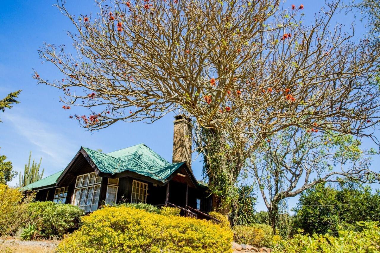 Naro Moru River Lodge Exterior foto